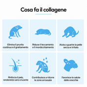 Collagene pet