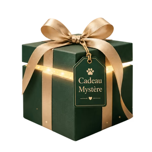 Regalo Misterioso