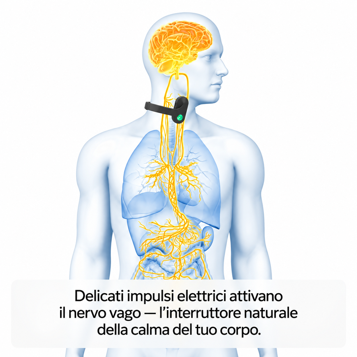 Stimolatore del nervo vago Nuvea Lite